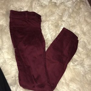 !! Hollister Maroon Jeans !!
